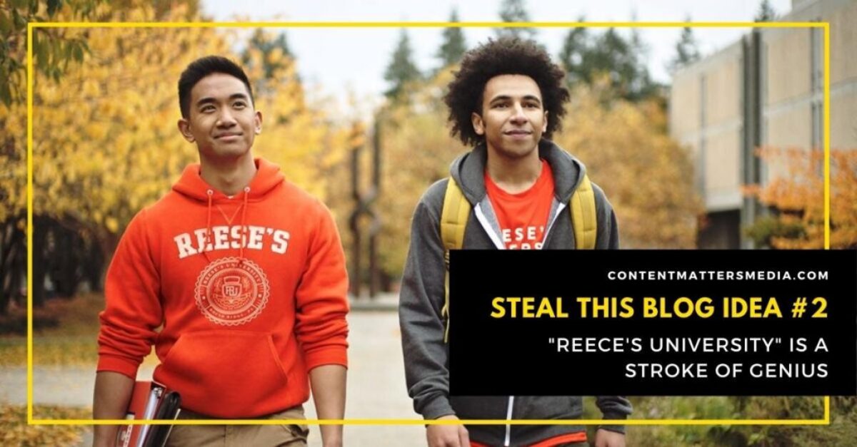 Steal This Blog Idea 2 - Reeces University