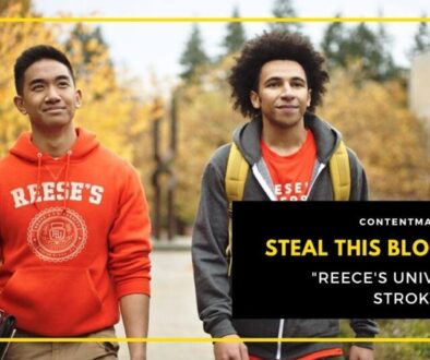 Steal This Blog Idea 2 - Reeces University